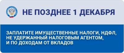 Плашка для сайта и СС1 ФНС 400