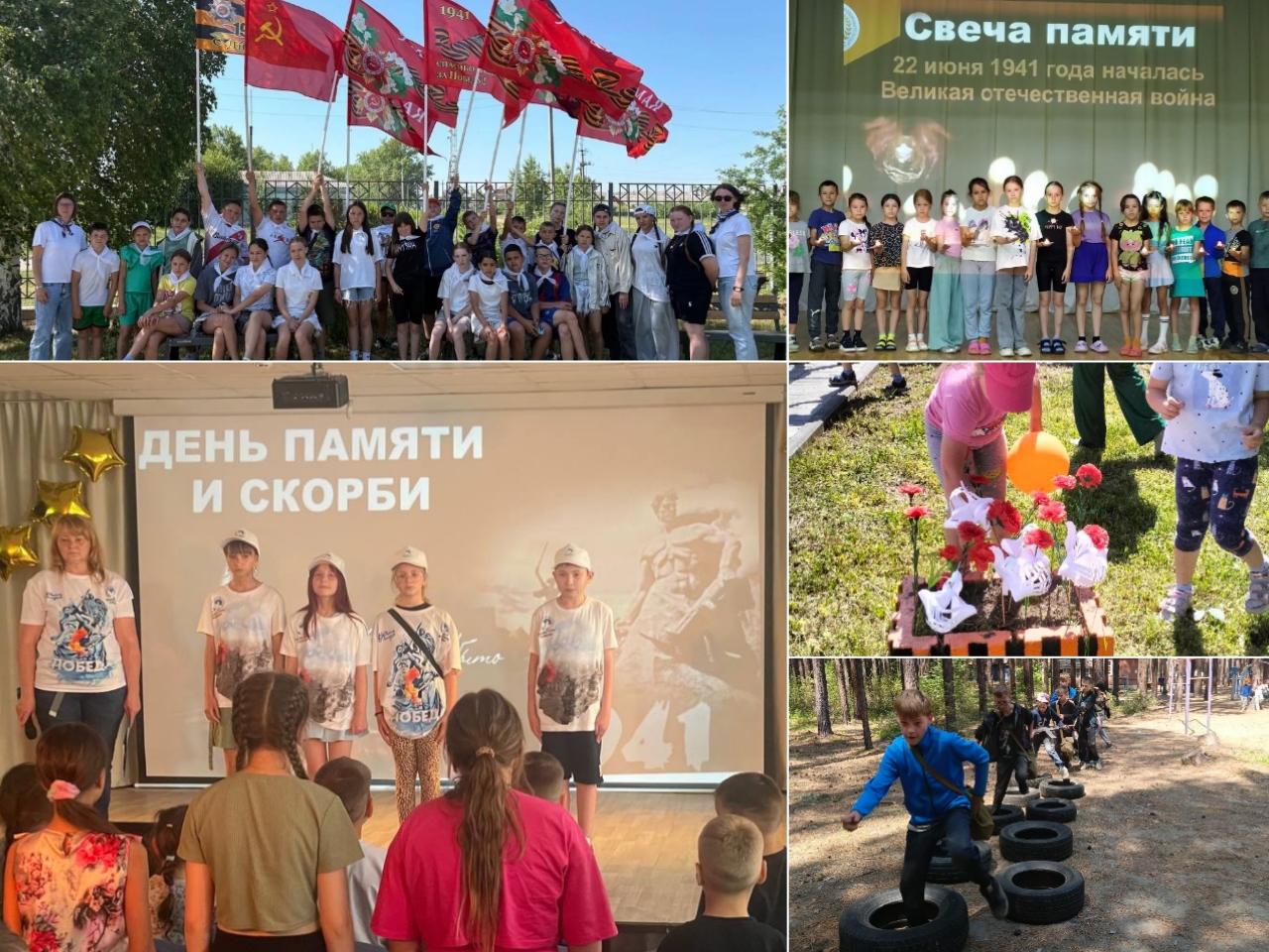 photocollage_202562681325212.jpg