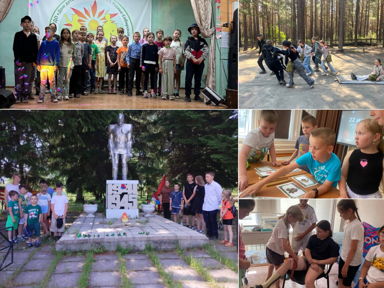 photocollage_202562681456138.jpg